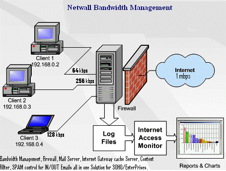 bsm networks netwall bandwidth management,Server Diagram,How to work server in a Network 